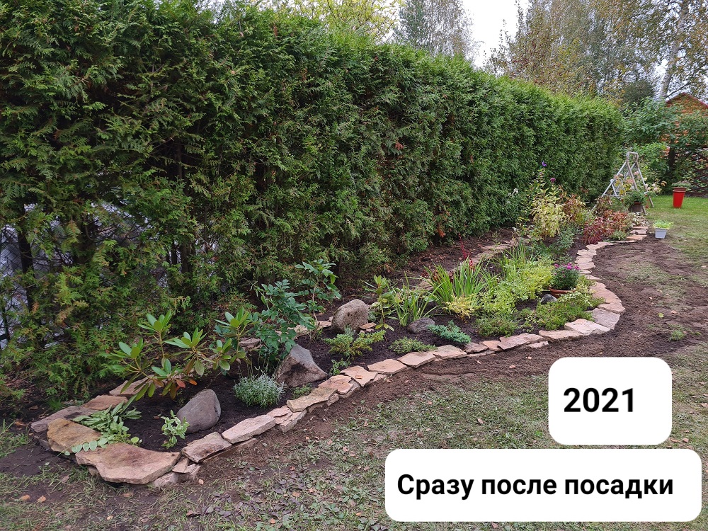 Реконструкция цветника в Белоострове, СНТ Мария, 2021