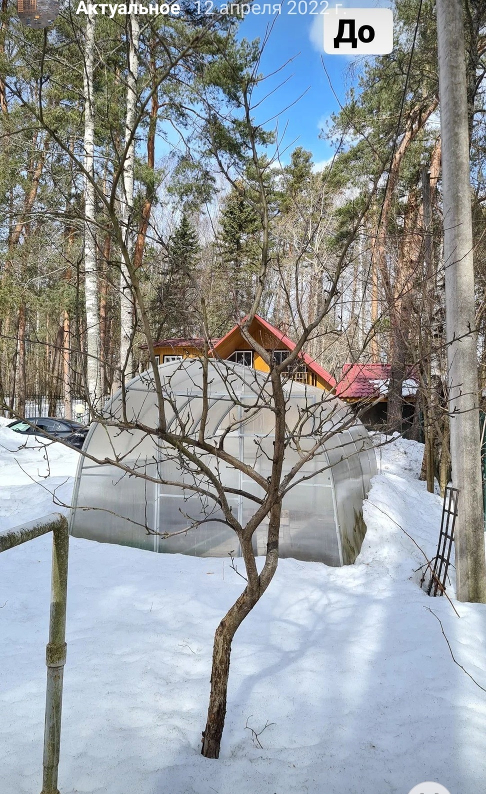 Обрезка яблони, груши и вишни в Ленинградской области