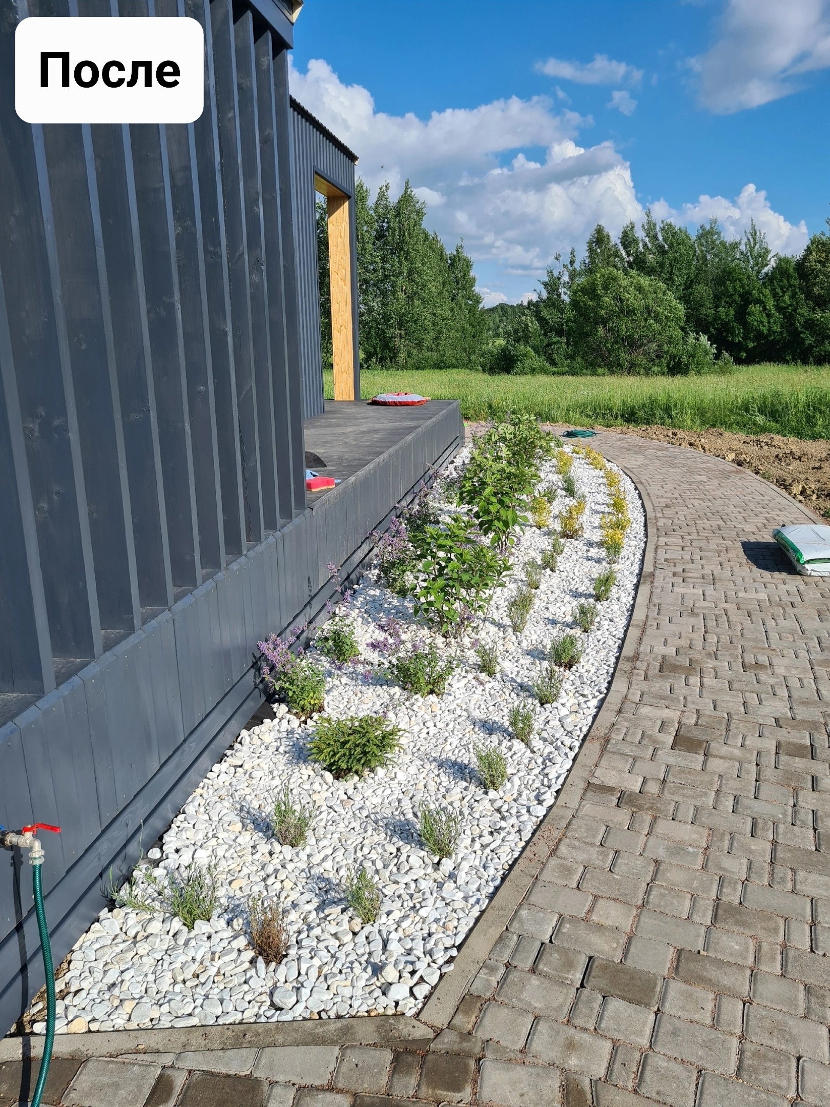 Устройство композиции и вечнозеленой живой изгороди в КП Сочи в Ломоносовском районе