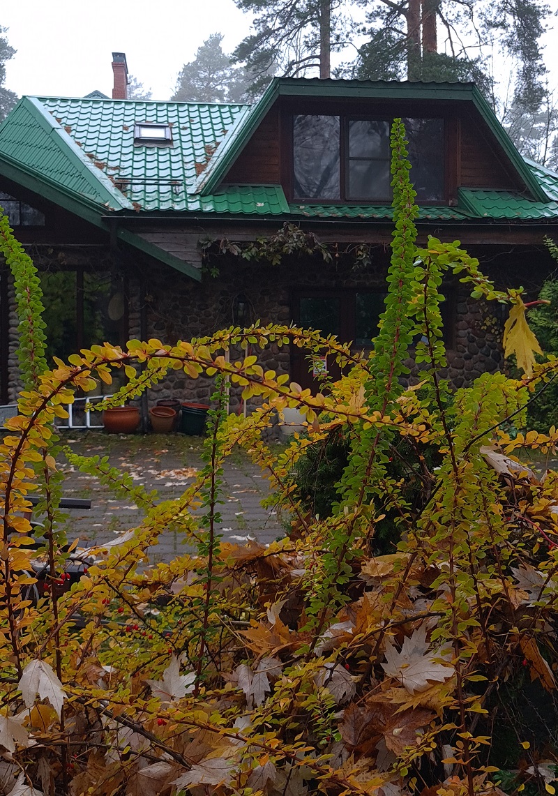 Поздняя осень в частном взрослом саду в Дибунах