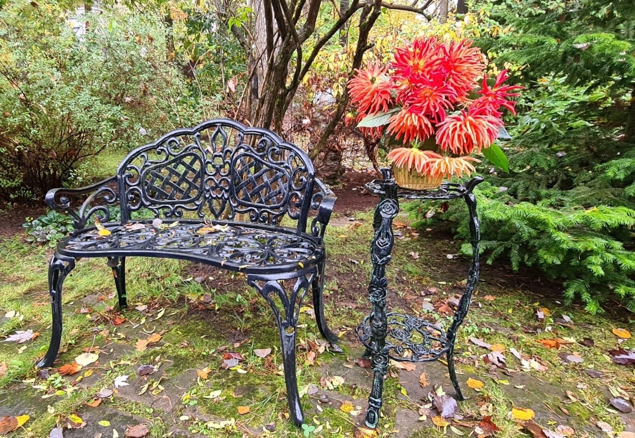 Поздняя осень в частном взрослом саду в Дибунах
